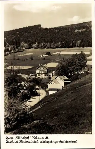 Ak Hinterwinkel Deštné v Orlických horách Deschnei im Adlergebirge Reg. Königgrätz, Hotel Albahof