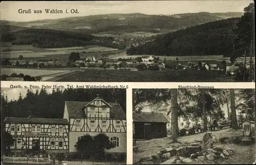 Ak Wahlen Grasellenbach im Odenwald, Panorama, Gasthaus Peter Horte, Siegfried-Brunnen