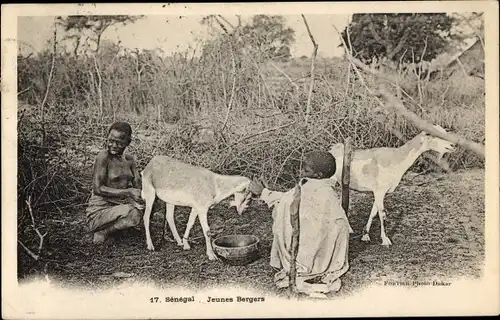 Ak Senegal, junge Hirten, Eingeborene