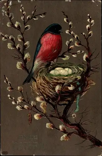 Ak Glückwunsch Ostern, Weidenkätzchen, Vogel, Vogelnest