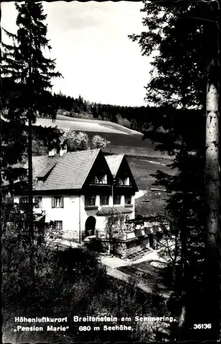 Ak Breitenstein am Semmering Niederösterreich, Pension Marie