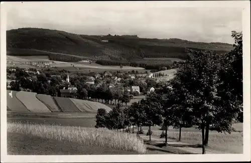 Ak Erlbach im Vogtland, Panorama