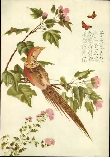 10 alte Ak Vögel, diverse Ansichten