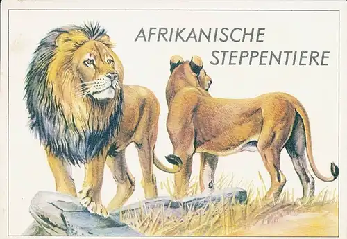 12 alte Ak afrikanische Steppentiere, diverse Ansichten im Heft