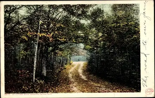 Ak Michigan USA, Mackinac Island, eine Herbstszene