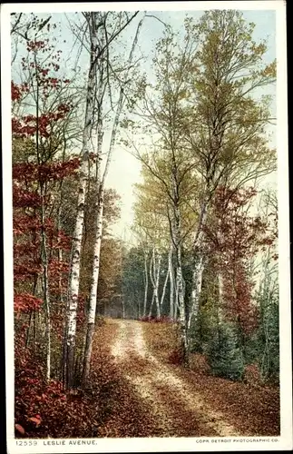 Ak Michigan USA, Mackinac Island, Leslie Avenue, Herbst