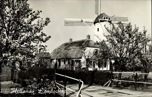 Ak Niederlande, Windmühle, Brücke, Wohnhaus