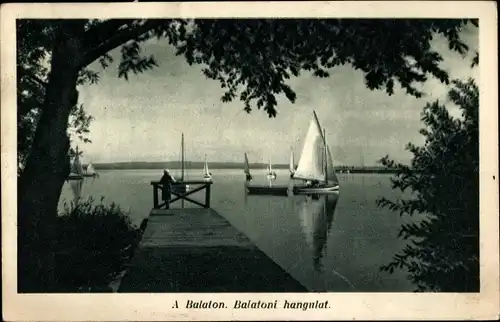 Ak Balaton Ungarn, See, Segelboote
