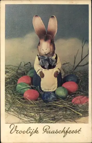 Ak Glückwunsch Ostern, Osterhase, Nest, Ostereier