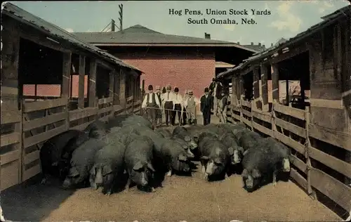 Ak South Omaha Nebraska USA, Schweineställe, Union Stock Yards