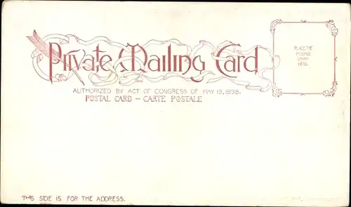 Ak Niagara Falls Ontario Kanada, Gesamtansicht