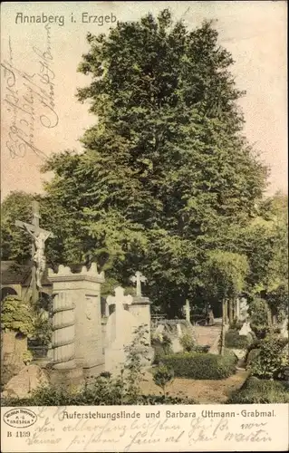 Ak Annaberg Buchholz Erzgebirge, Auferstehungslinde, Barbara Uttmann Denkmal