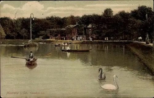 Ak Meerane in Sachsen, Gondelteich, Ruderboote, Schwäne