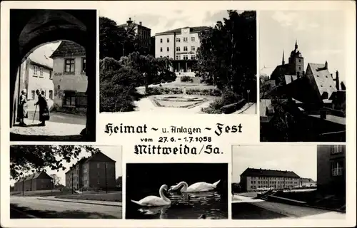 Ak Mittweida in Sachsen, Heimat- und Anlagen Fest 1958, Schwäne, Kirche, Gebäude, Park