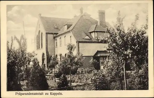 Ak Kappeln an der Schlei, Präparandenanstalt