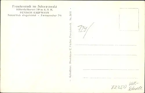 Ak Freudenstadt im Nordschwarzwald, Pension Kaufmann