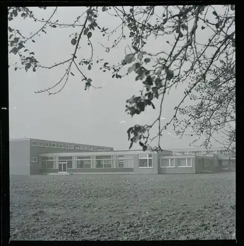 12 Zelluloid Negative Bücken in Niedersachsen, Bach, Straße, Park