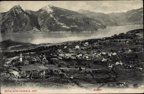 Ak Aeschi bei Spiez Kanton Bern, Panorama vom Ort