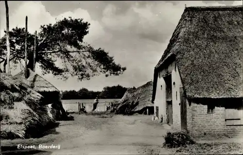 Ak Elspeet Gelderland, Bauernhof