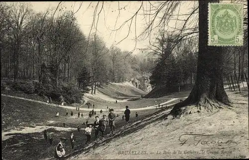 Ak Bruxelles Brüssel, Bois de la Cambre, le grand Ravin