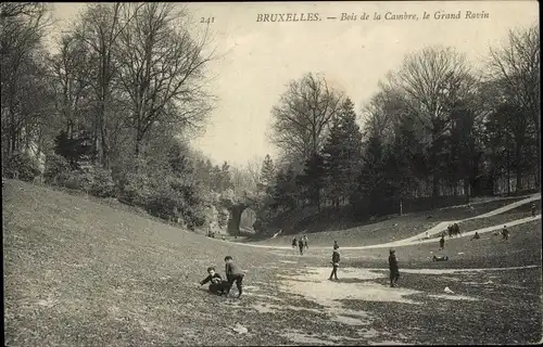Ak Bruxelles Brüssel, Bois de la Cambre, le grand Ravin