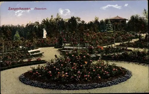 Ak Sangerhausen, Rosarium
