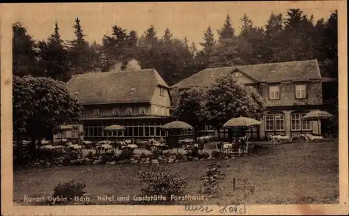 Ak Hain Oybin in der Oberlausitz, Hotel und Gaststätte, Forsthaus