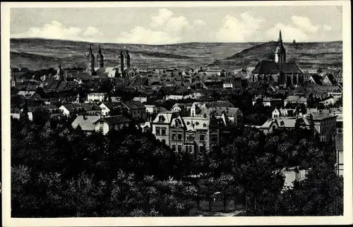 Ak Naumburg an der Saale, Gesamtansicht, Dom