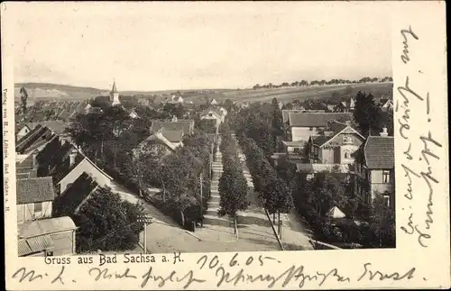 Ak Bad Sachsa in Niedersachsen, Straßenpartie, Allee, Blick über die Dächer der Stadt