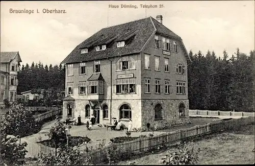 Ak Braunlage im Oberharz, Haus Dümling