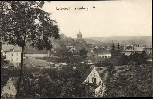 Ak Falkenberg in der Mark, Gesamtansicht