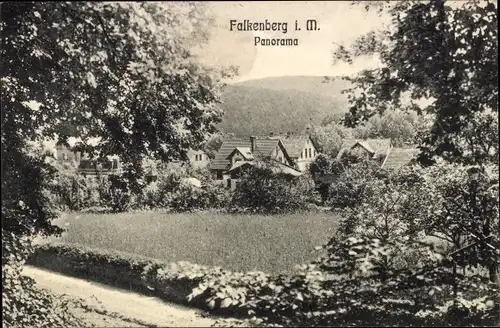 Ak Falkenberg in der Mark, Panorama der Ortschaft, Berge, Garten
