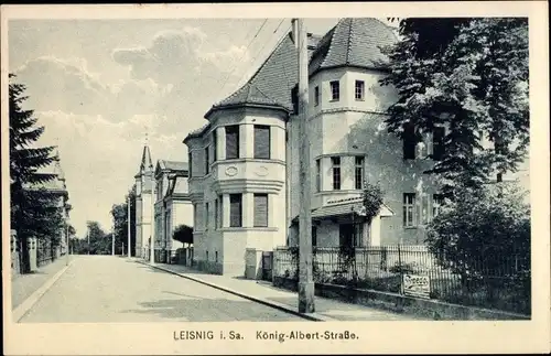 Ak Leisnig in Sachsen, König Albert Straße