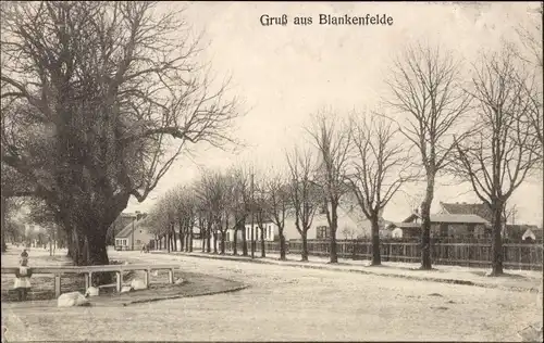 Ak Blankenfelde in Brandenburg, Straßenpartie