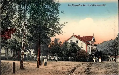 Ak Birkenwerder in Brandenburg, Briesethal