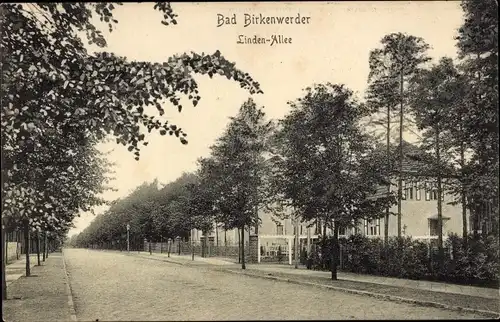 Ak Birkenwerder in Brandenburg, Wohnviertel in der Linden Allee