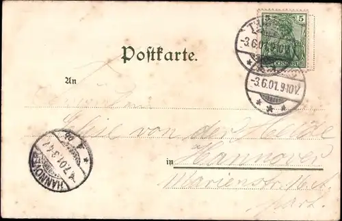 Litho Konstanz am Bodensee, Stadtansicht, vermenschlichte Frösche, Chor