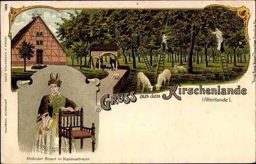 Litho Altenlande, Kirschenland, Altländer Braut in Tracht, Kirschenernte