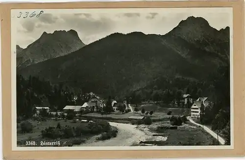 4 Gasnegative Hinterriss Eben am Achensee in Tirol, mit Falken