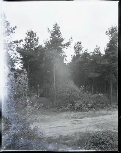 9 Zelluloid Negative Aschwarden Schwanewede in Niedersachsen, Mühle, Haus, Wald