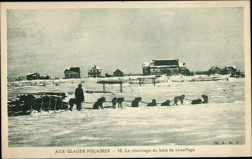 Ak Aux Glaces Polaires, Der Transport von Brennholz