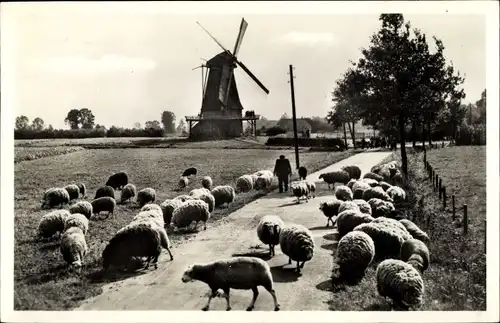 Ak Lochem Gelderland, Hirte in der Zwiepse-Mühle