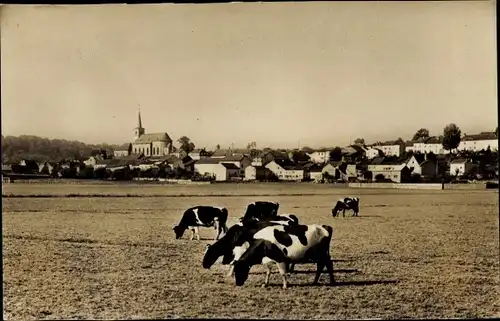 Ak Mondorf les Bains Bad Mondorf Luxemburg, Kühe weiden, Ort im Hintergrund