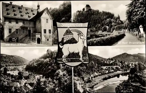 Wappen Ak Ziegenrück am Schiefergebirge Thüringen, HO Ratskeller, Dr. Reif Promenade, Teilansicht