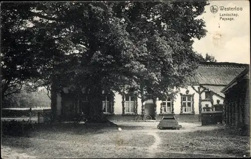 Postkarte Westerloo Westerlo Flandern Antwerpen, Landschaft