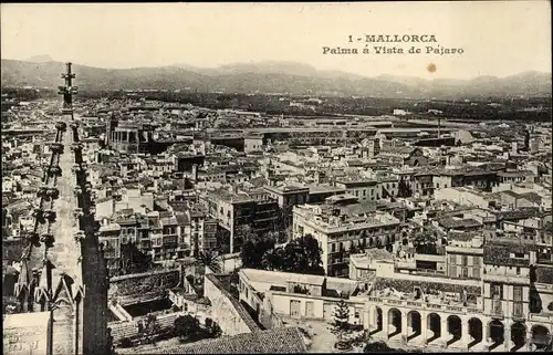 Ak Palma de Mallorca Balearen, Panorama, Vogel