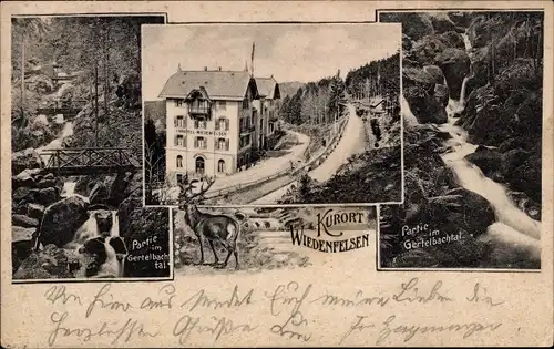 Ak Bühlertal im Schwarzwald, Hotel Wiedenfelsen, Gertelbachtal