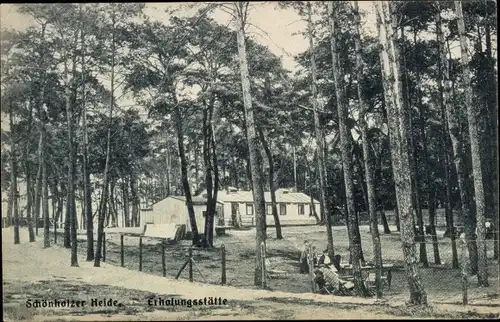 Ak Berlin Pankow Niederschönhausen Schönholz, Schönholzer Heide, Erholungsstätte