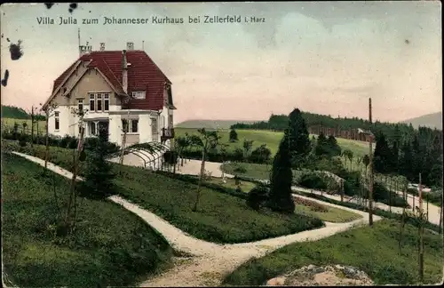 Ak Clausthal Zellerfeld im Oberharz, Villa Julia zum Johanneser Kurhaus