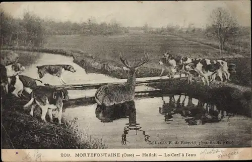 Ak Mortefontaine Oise, Hallali, Der Hirsch im Wasser